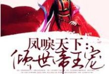 完结版《凤唳天下：倾世帝王宠》章节阅读-锤石文学