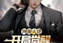 完结版《网游大佬：开局觉醒红温系统》在线免费阅读-锤石文学