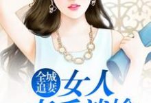 小说《全城追妻：女人束手就擒》章节阅读-锤石文学