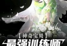 完结版《神奇宝贝：最强训练师之路》章节阅读-锤石文学