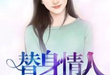 完结版《替身情人》章节目录在线阅读-锤石文学