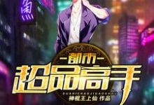 完结版《都市超品高手》在线免费阅读-锤石文学