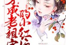 小说《穿成老祖宗的小红娘》章节免费阅读-锤石文学