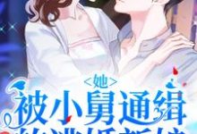 已完结小说《她！被小舅通缉的逃婚新娘》章节免费阅读-锤石文学