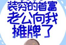 闪婚超甜：装穷的首富老公向我摊牌了这本小说怎么样？免费在线阅读试试-锤石文学