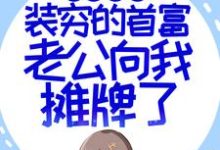 苏恩明燕的完整故事在哪里？读闪婚超甜：装穷的首富老公向我摊牌了小说-锤石文学