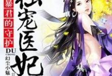 小说《暴君的守护：独宠医妃》章节免费阅读-锤石文学