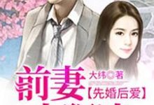 完结版《先婚后爱，前妻太狠决》章节阅读-锤石文学