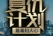 聂哲小说《复仇计划：最毒妇人心》在线阅读-锤石文学