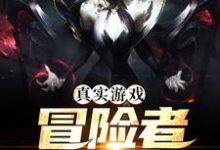 完结版《真实游戏：冒险者乐园》章节目录在线阅读-锤石文学