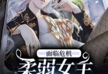 面臨危機，柔弱女主選擇自救小說完結版章節免費閱讀-錘石文學