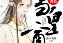 《女扮男装当皇商》全集免费在线阅读（文少卿）-锤石文学