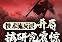 完结版《技术流反派：开局搞研究震惊万界主角》章节目录在线阅读-锤石文学