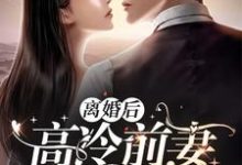 离婚后，高冷前妻求复合小说全文哪里可以免费看？-锤石文学