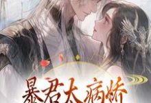 《暴君太病娇，炮灰公主逃不掉》小说章节列表免费试读，江无眠耶律央小说在线阅读-锤石文学