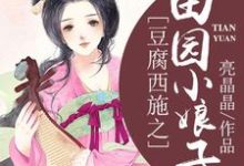 小说《豆腐西施之田园小娘子》章节免费阅读-锤石文学