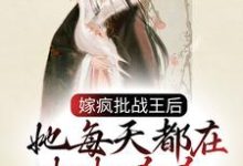 完结版《嫁疯批战王后，她每天都在打打杀杀》在线免费阅读-锤石文学