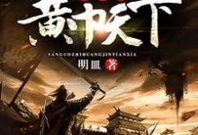 三国之黄巾天下章节免费在线阅读，赵弘赵无忌吕布诸葛亮完结版-锤石文学