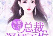 《先婚后爱：总裁，深情不悔》小说章节在线试读，《先婚后爱：总裁，深情不悔》最新章节目录-锤石文学