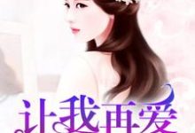 完结版《让我再爱你一次》章节目录在线阅读-锤石文学