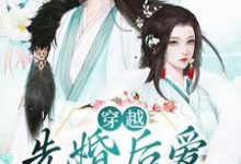 完结版《穿越：先婚后爱驰骋战场》章节阅读-锤石文学