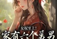 已完結小說《女權至上！家有六個美男是什麼體驗》在線章節閱讀-錘石文學