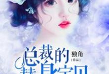 总裁的替身宝贝章节免费在线阅读，顾晚晴许凉铮完结版-锤石文学