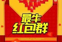 完结版《最牛红包群》章节目录在线阅读-锤石文学