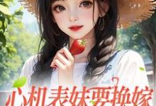 完结版《心机表妹要换嫁，我笑着同意》章节目录在线阅读-锤石文学