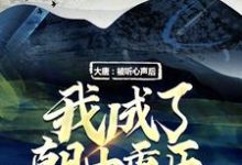 程處默李世民小說《大唐：被聽心聲後，我成了朝中重臣》在線閱讀-錘石文學