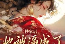 《抄家后，她被逼成了国师夫人》全集免费在线阅读（ 阮凌音寒王）-锤石文学