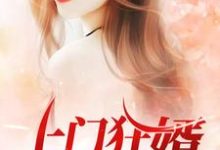 完结版《上门狂婿》章节目录在线阅读-锤石文学