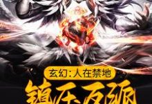 完结版《玄幻：人在禁地，镇压反派的我无敌了》在线免费阅读-锤石文学