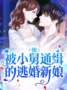 小说《她！被小舅通缉的逃婚新娘》章节阅读