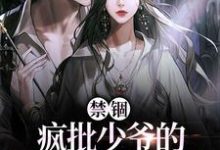 完结版《禁锢：疯批少爷的笼中雀又矫又魅》章节阅读-锤石文学