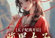 完结版《太子妃离开后，腹黑太子急疯了》章节阅读-锤石文学