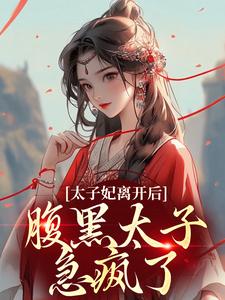 完结版《太子妃离开后，腹黑太子急疯了》章节阅读