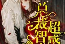 小說《豪門蜜愛：總裁智商超感人》在線章節閱讀-錘石文學