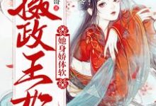 《摄政王妃她身娇体软》小说大结局免费试读 夜七玖兰溟小说-锤石文学