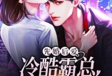 完结版《先婚后爱：冷酷霸总追妻路漫漫》章节阅读-锤石文学