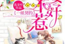 完结版《一纸契约：娇妻不好惹》章节阅读-锤石文学