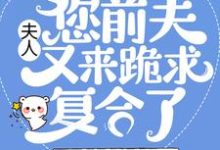 完结版《夫人，您前夫又来跪求复合了》章节目录在线阅读-锤石文学