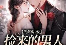 小说《先婚后爱：捡来的男人太会宠》章节阅读-锤石文学