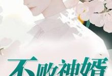 完结版《不败神婿》免费阅读-锤石文学