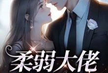 完结版《柔弱大佬白切黑后》免费阅读-锤石文学