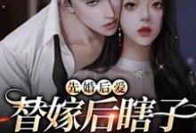 完结版《先婚后爱：替嫁后瞎子老公复明了》免费阅读-锤石文学