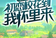 完結版《重生八零：初戀校花到我懷裡來》章節目錄在線閱讀-錘石文學