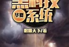 完结版《华夏黑科技系统》免费阅读-锤石文学