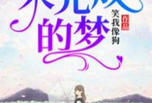 完结版《未完成的梦》在线免费阅读-锤石文学