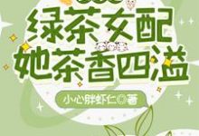 完结版《快穿之绿茶女配她茶香四溢》免费阅读-锤石文学